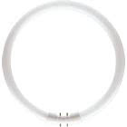 MASTER TL5 Circolari - Fluorescent lamp - Potenza: 60 W - Classe di efficienza energetica (ELL): A - Temperatura di colore correlata (Nom): 4000 K product photo