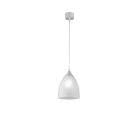 SOSPENSIONE VETRO SATINATO product photo