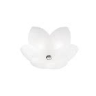 PLAFONIERA VETRI SATINATI product photo