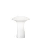 LAMPADA DA TAVOLO IN VETRO product photo