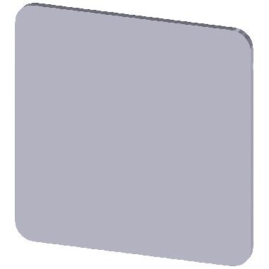 Targhetta identificativa 27 x 27 mm, colore argento, senza iscrizione product photo Photo 01 3XL