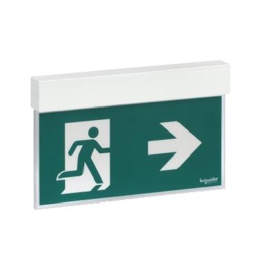 Exiway Easysign, IP40, Autoalimentato Standard, Permanente (SA) / Non Permanente (SE), 24m, 1,5h, Apparecchio di segnalazione di sicurezza product photo Photo 01 3XL