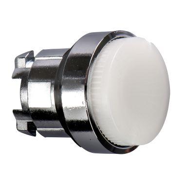 Testa pulsante luminoso Ø22 - bianco- per LED universale product photo Photo 01 3XL