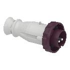 Spina mobile BTS IP67 16A 24V 50Hz 2P product photo