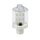 Lampadina a LED verde 24 V product photo