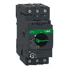 Interruttore automatico magnetico GV3L - 40 A - EVERLINK product photo