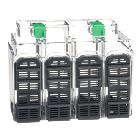 Coprimorsetti lunghi 4P product photo