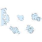 Acc. Porta P IP30 product photo