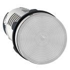 Lampada spia - LED - trasparente - 24 V product photo