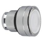 Testa pulsante luminoso Ø22 - bianco - per inserimento etichetta- per LED universale product photo