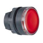 Testa pulsante luminoso Ø22 - rosso - per inserimento etichetta product photo