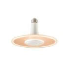 TOLEDO RADIANCE BIA D.10,5W 1000LM 827E27A+ product photo