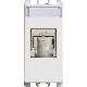 Presa RJ45 Cat.5e UTP 1 modulo, (EIA T568A/B), Nea, bianco product photo Photo 01 2XS