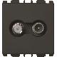 Presa diretta TV-SAT, 2 moduli, attenuazione 2 dB, Nea, antracite product photo Photo 01 2XS