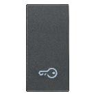 Vimar Eikon 20021.P Tasto 1M simbolo chiave grigio product photo