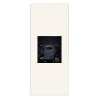 Vimar Linea 30320.B Presa RJ11 6/4 bianco product photo