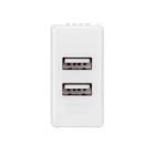 ALIMENTATORE DOPPIO USB - 1 MODULO - SYSTEM WHITE product photo